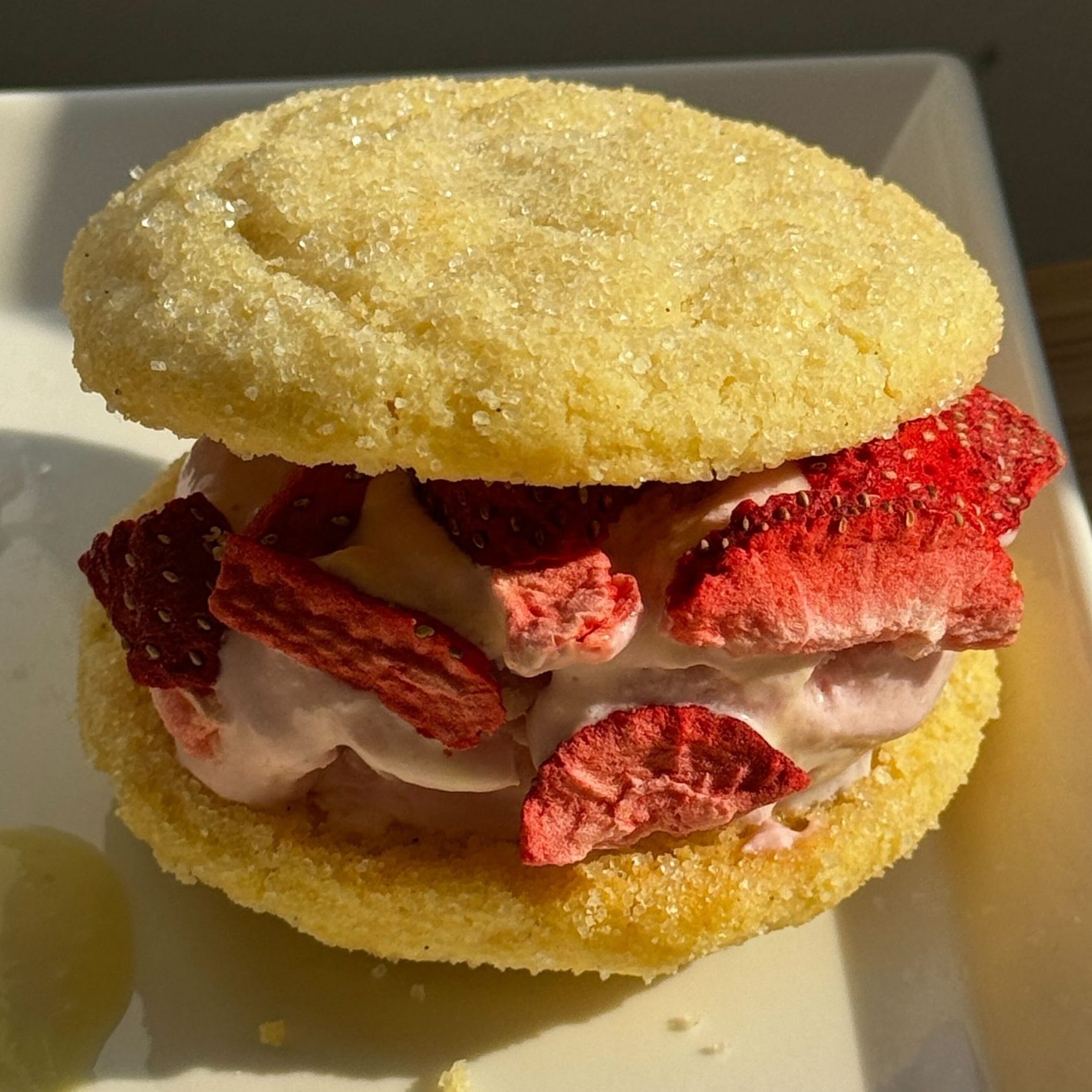 Dairy-Free No Churn Ice Cream Sammies