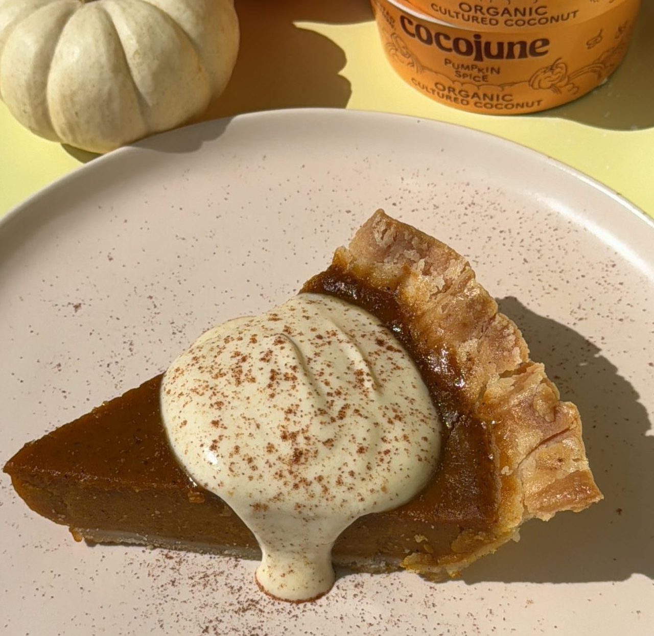 Vegan Pumpkin Pie