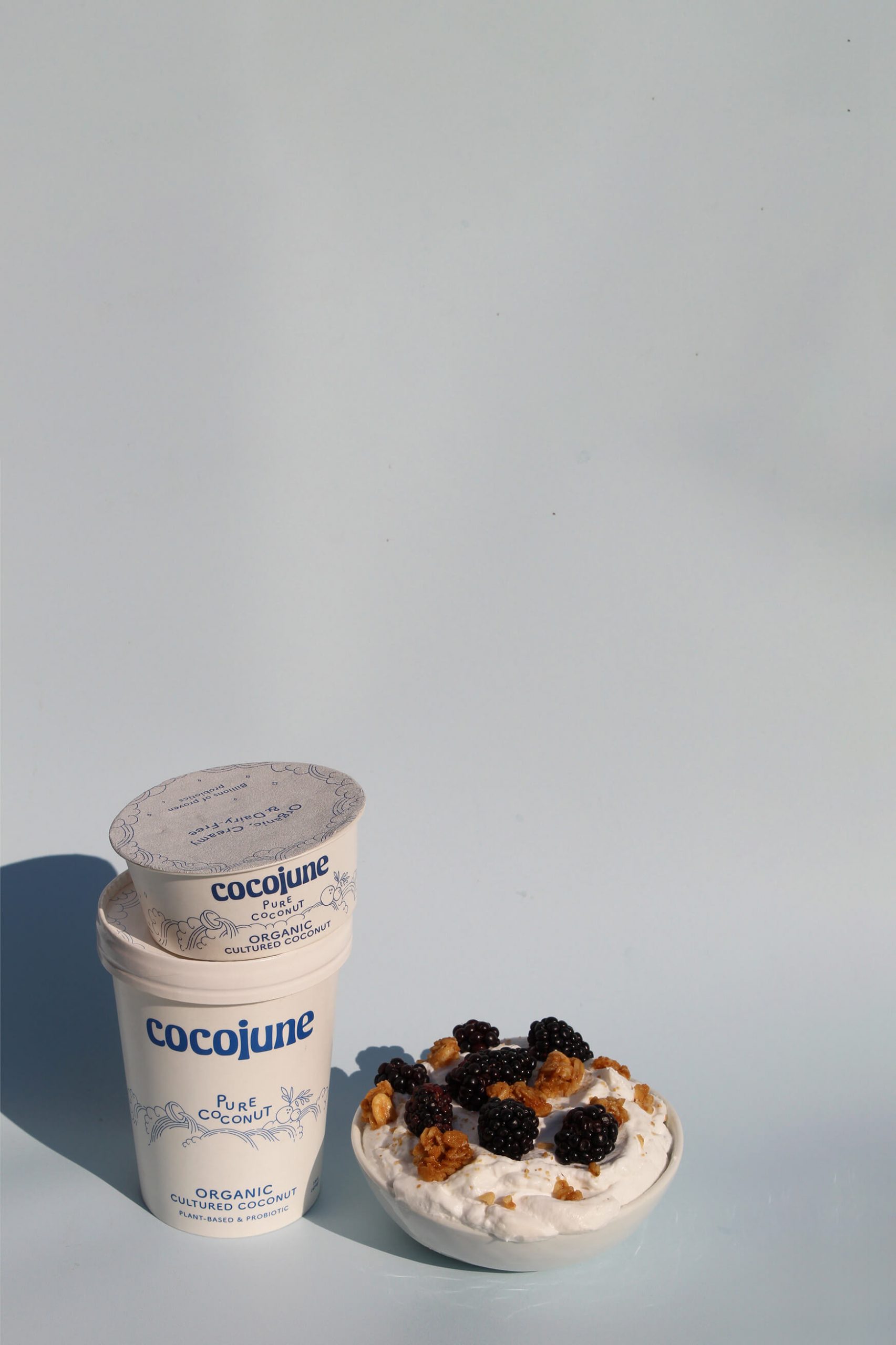 Pure Coconut 4oz and 16oz next to a dreamily delicious yogurt bowl.